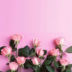 Meet your Posher, Ally